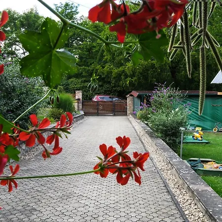 Livi * Mikulov